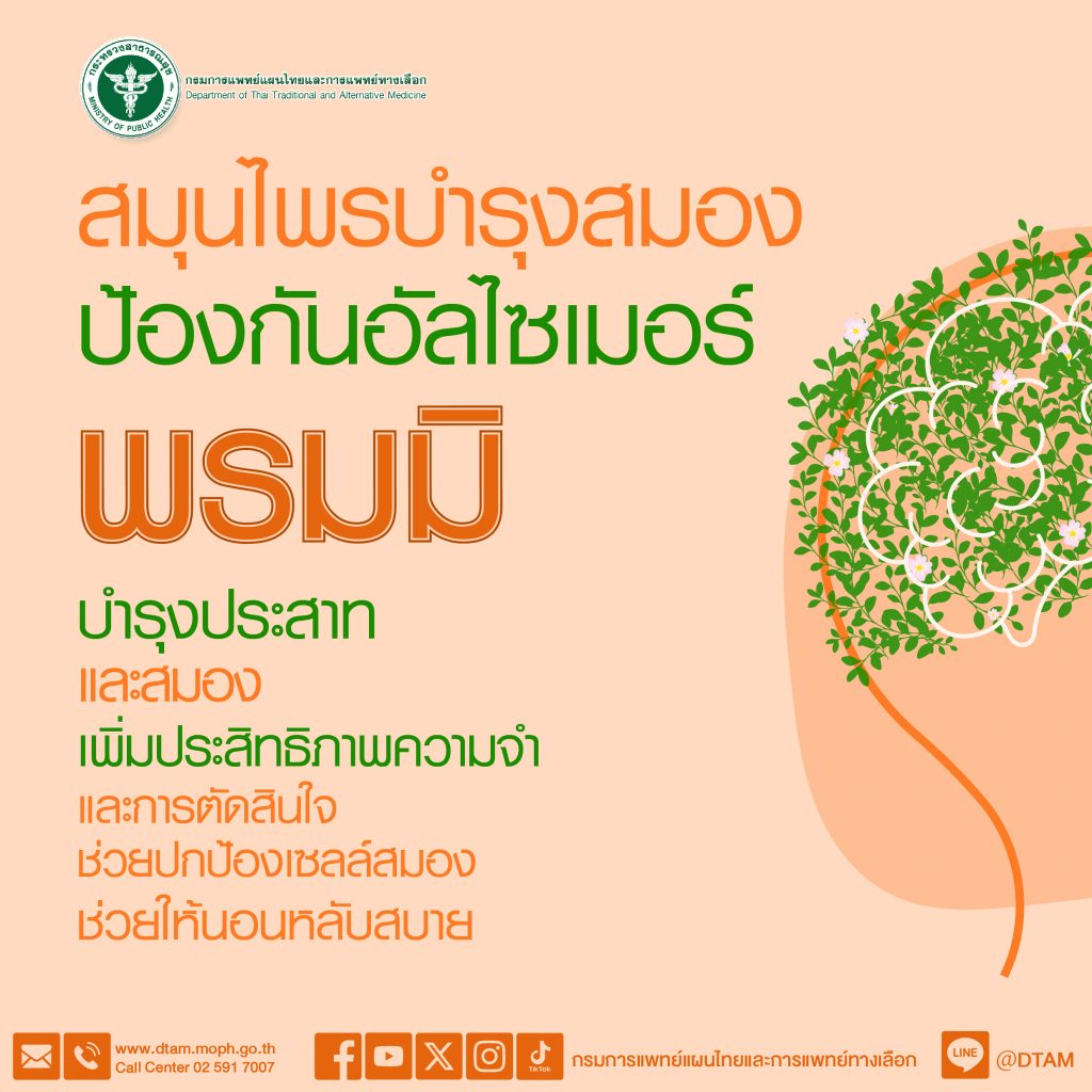 สมุนไพรบำรุงสมองป้องกันอัลไซเมอร์ พรมมิ