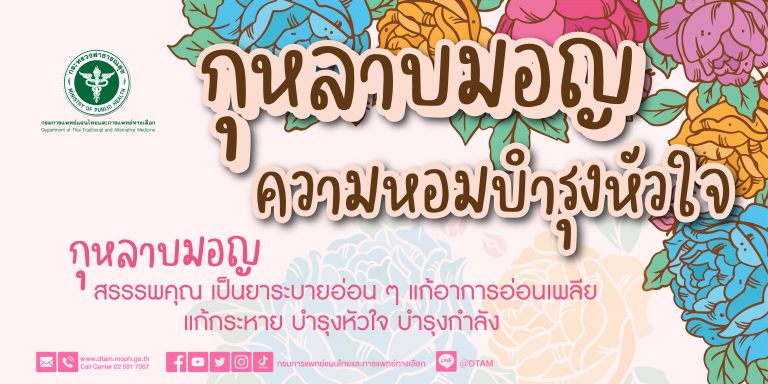 กุหลาบมอญ ความหอมบำรุงหัวใจ