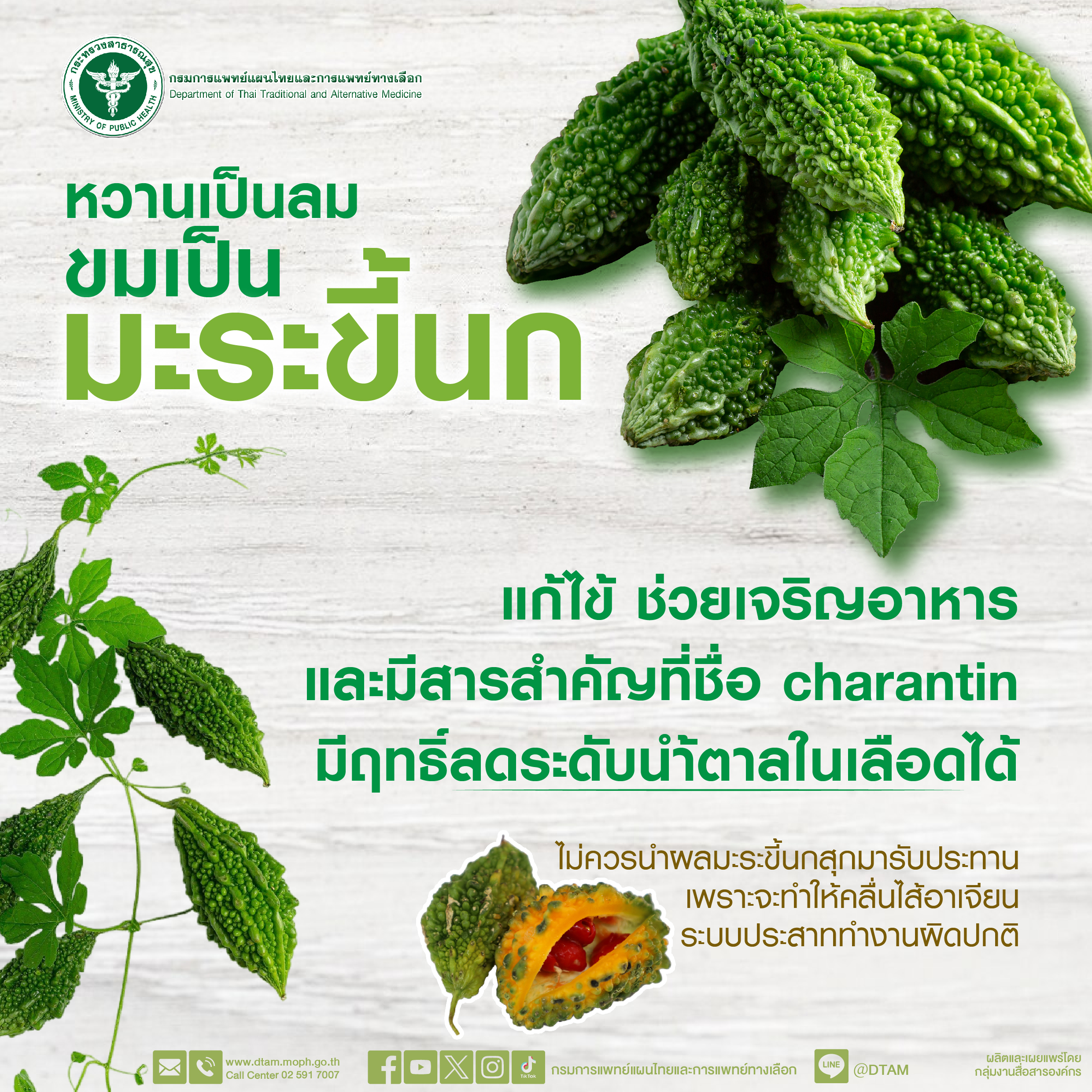 หวานเป็นลมขมเป็น มะระขี้นก