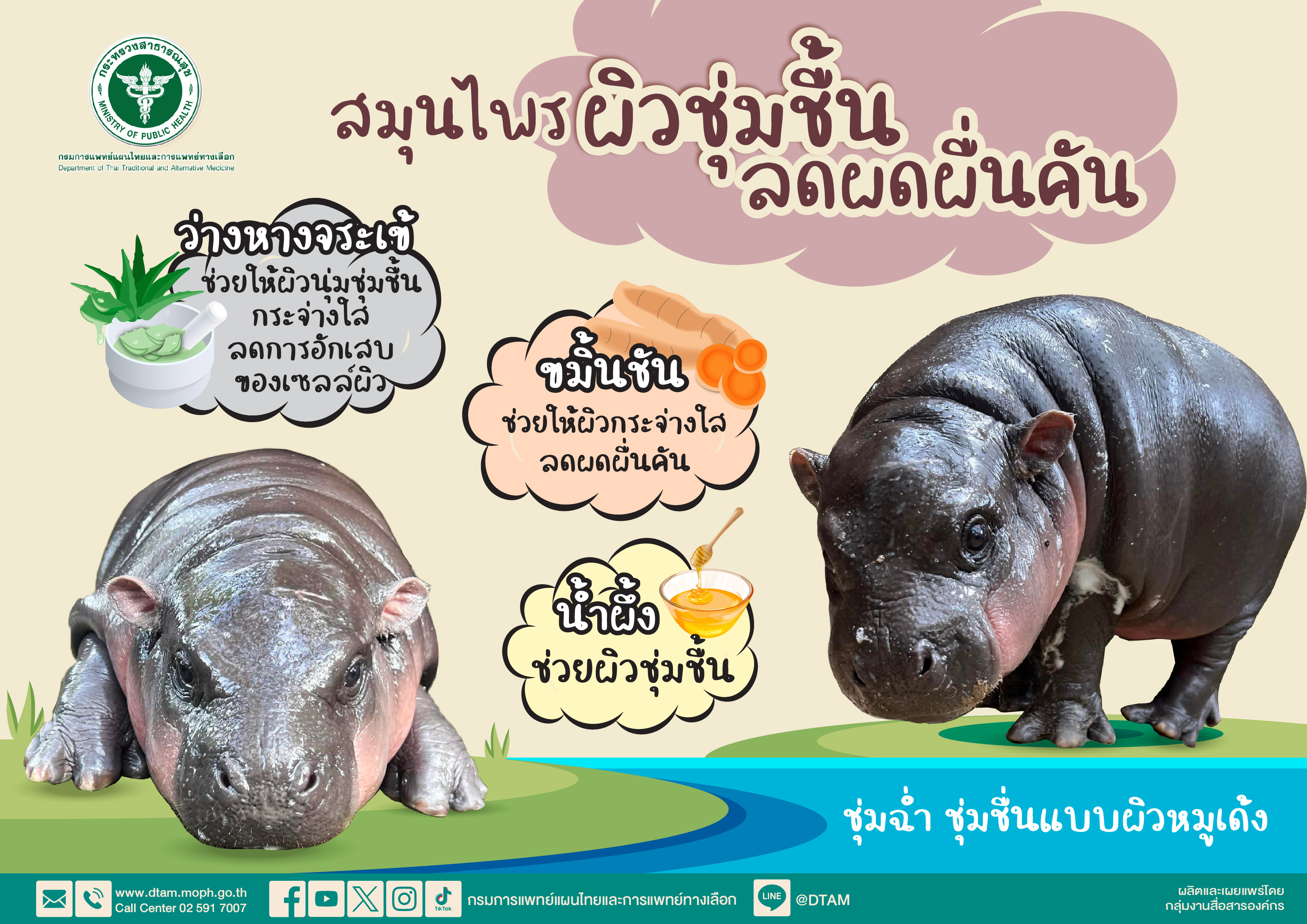 สมุนไพรผิวชุ่มชื้นลดผดผื่นคัน