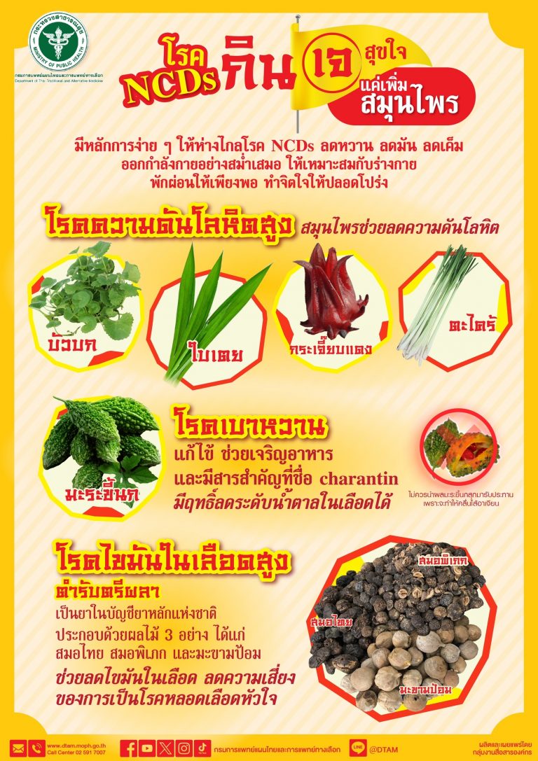 โรค NCDs “กิน เจ สุขใจ” แค่เพิ่มสมุนไพร