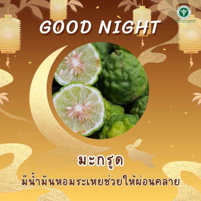 Good Night ” มะกรูด “