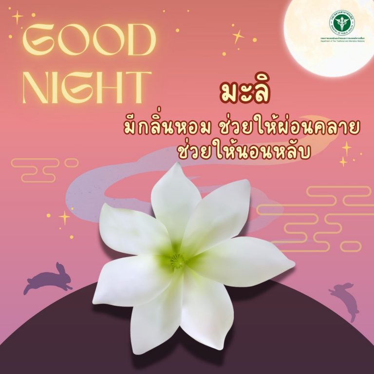 Good Night ” มะลิ “