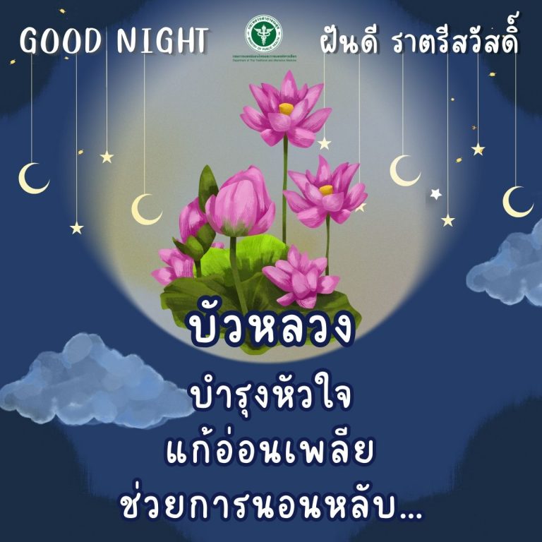 Good Night ” บัวหลวง “
