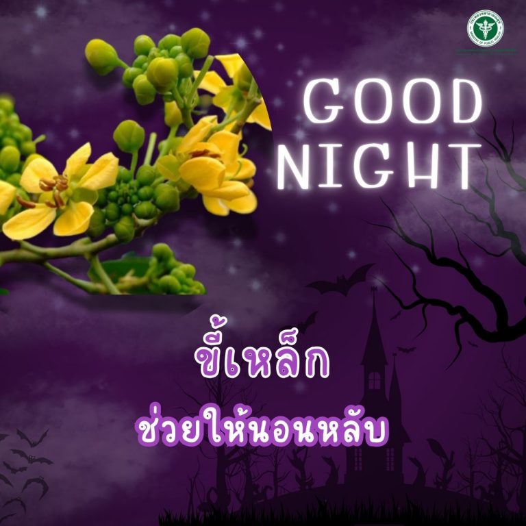 Good Night ” ขี้เหล็ก “