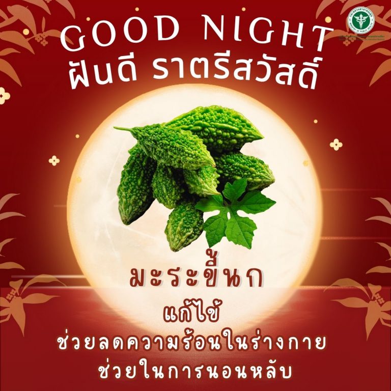 Good Night ” มะระขี้นก “