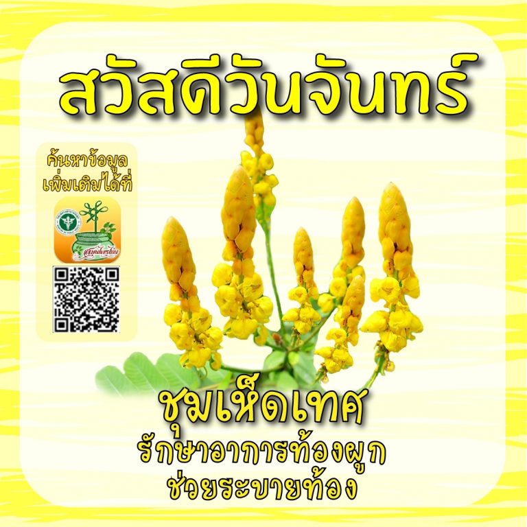 สวัสดีวันจันทร์