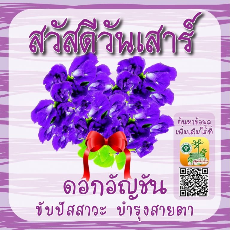 สวัสดีวันเสาร์
