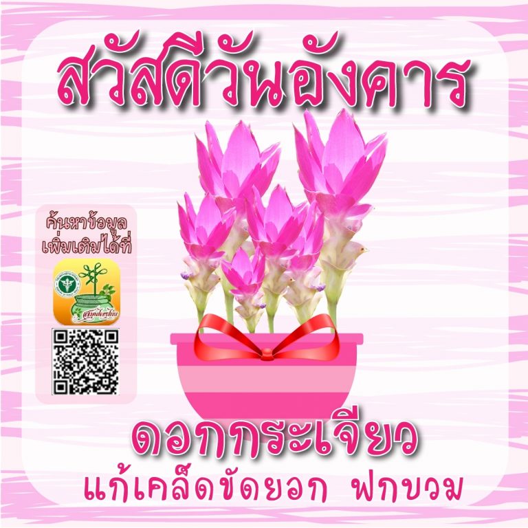 สวัสดีวันอังคาร
