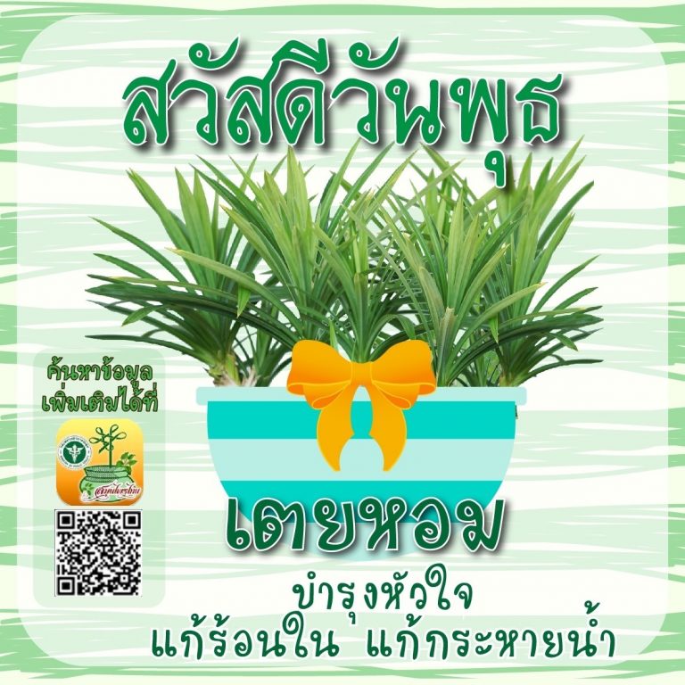 สวัสดีวันพุธ