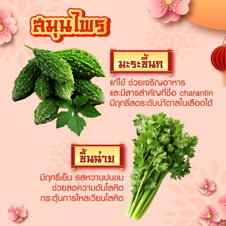 info-dtam-26012025-1