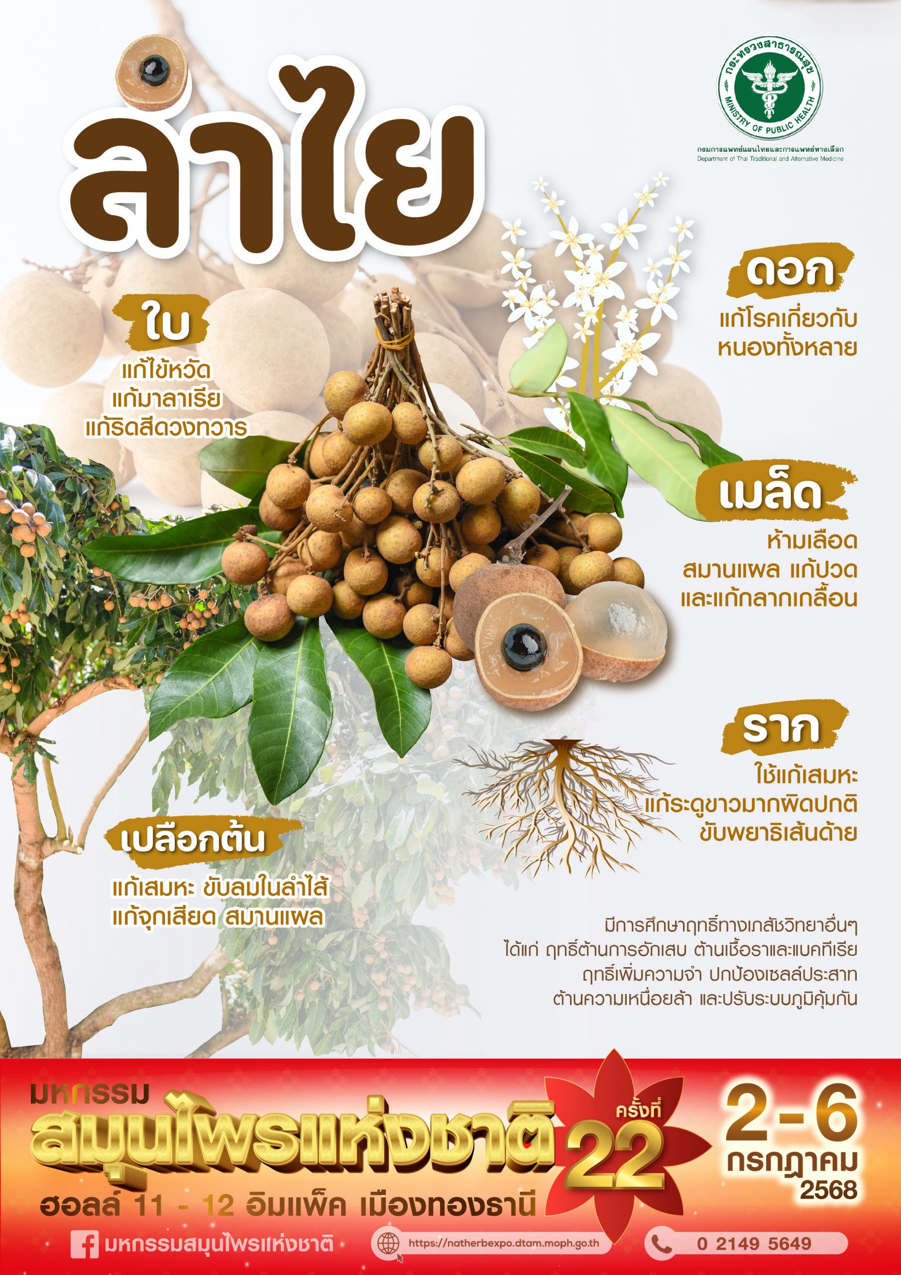 คุณประโยชน์ของ ” ลำไย “
