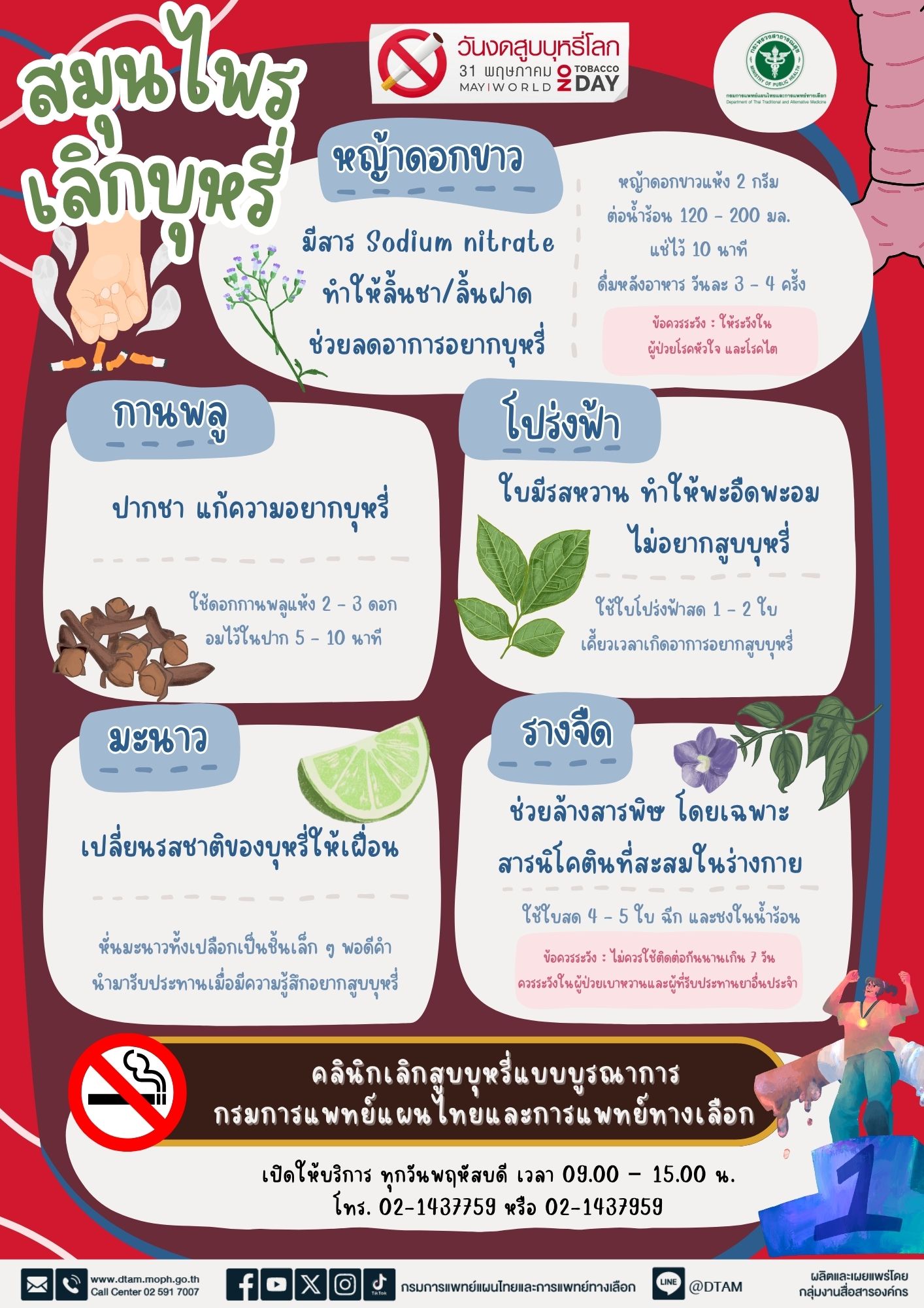 สมุนไพรเลิกบุหรี่ วันงดสูบบุหรี่โลก